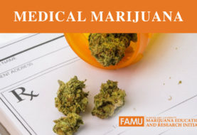 Florida A&M University to Host South Florida Medical Marijuana Community Forums