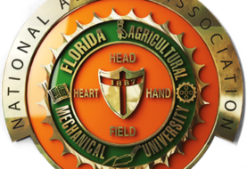 FAMU NAA Chapters Raise More Than $91,000 For Students
